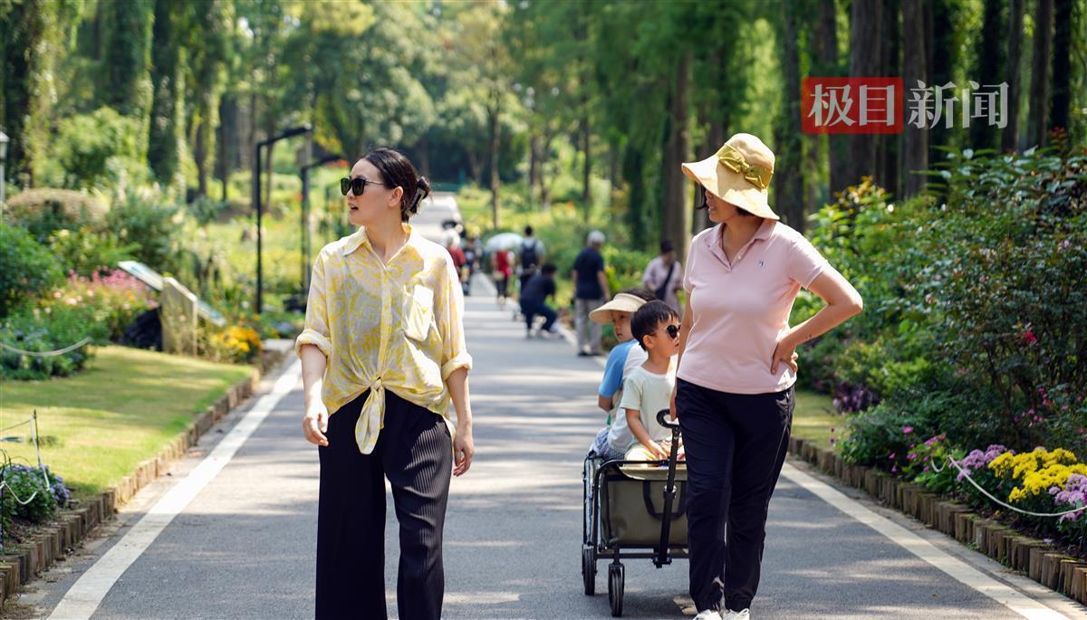 澳门亚盘特点